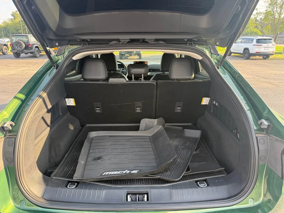 2025 Ford Mustang Mach-E - Image 15 of 19