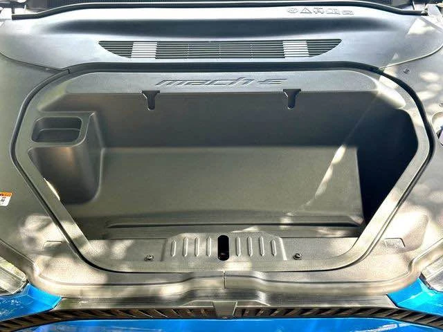2025 Ford Mustang Mach-E - Image 17 of 17