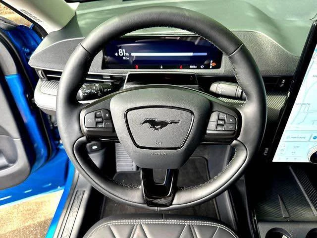 2025 Ford Mustang Mach-E - Image 9 of 17