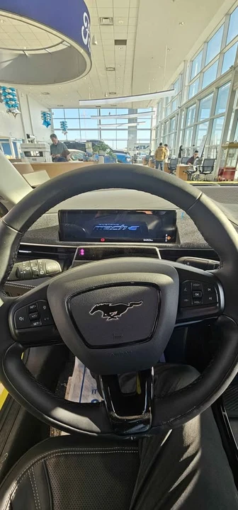 2025 Ford Mustang Mach-E - Image 13 of 14
