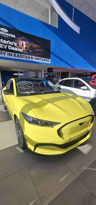 2025 Ford Mustang Mach-E - Image 8 of 14