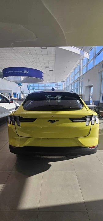 2025 Ford Mustang Mach-E - Image 5 of 14