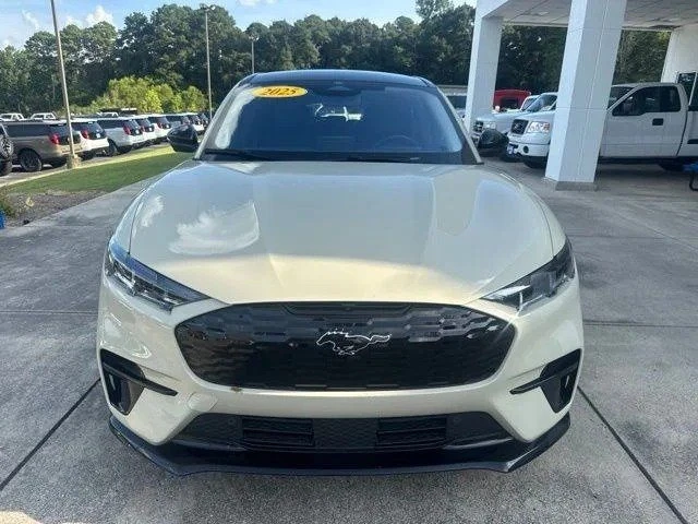 2025 Ford Mustang Mach-E - Image 2 of 20
