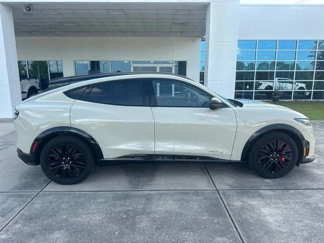 2025 Ford Mustang Mach-E - Image 8 of 20