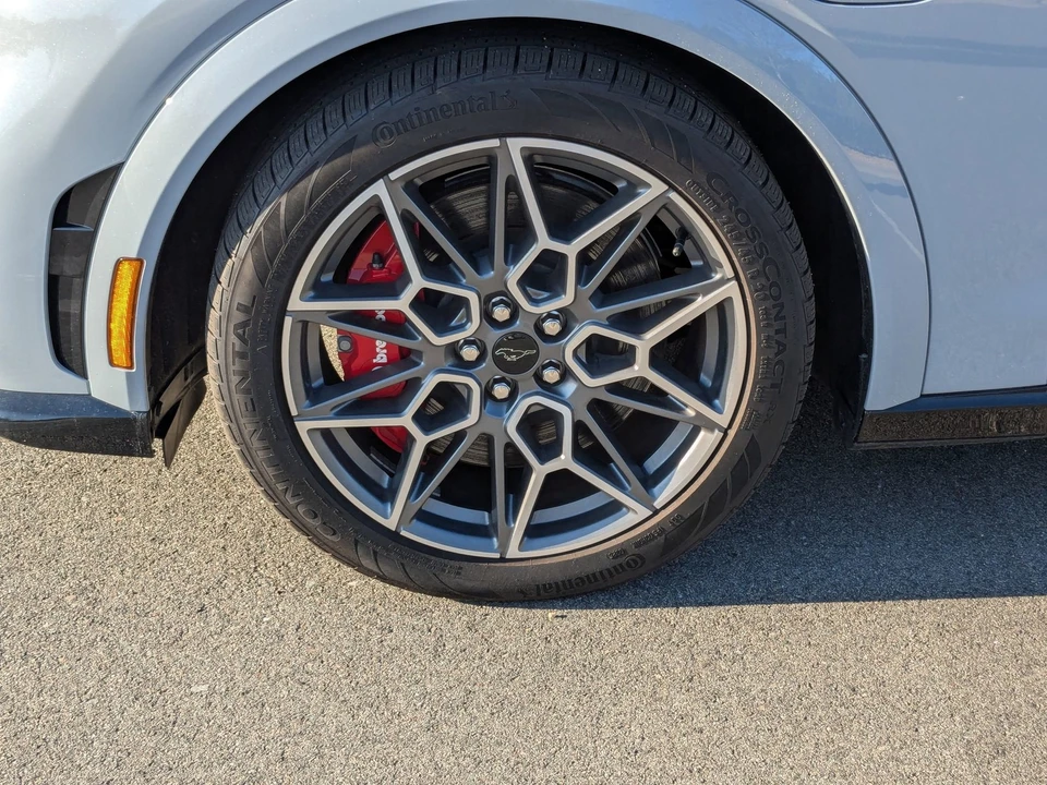 2025 Ford Mustang Mach-E - Image 10 of 21