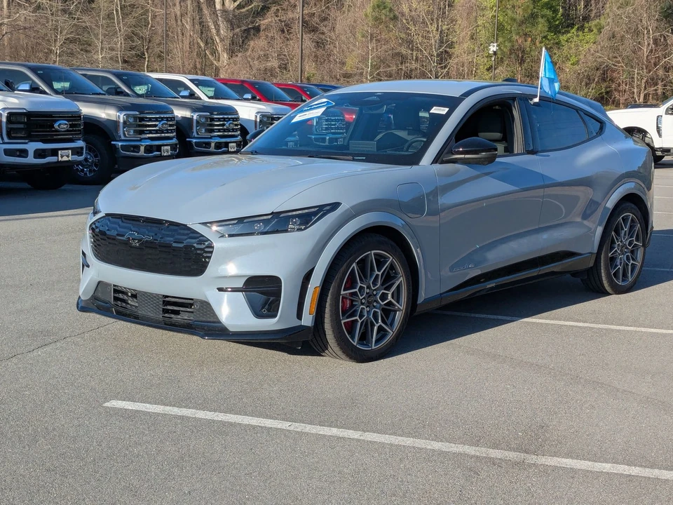 2025 Ford Mustang Mach-E - Image 8 of 21