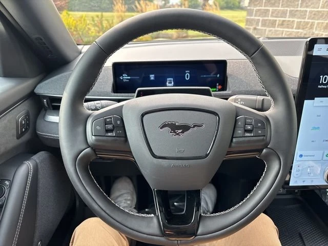 2025 Ford Mustang Mach-E - Image 17 of 20
