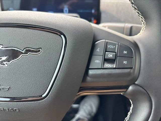 2025 Ford Mustang Mach-E - Image 19 of 20