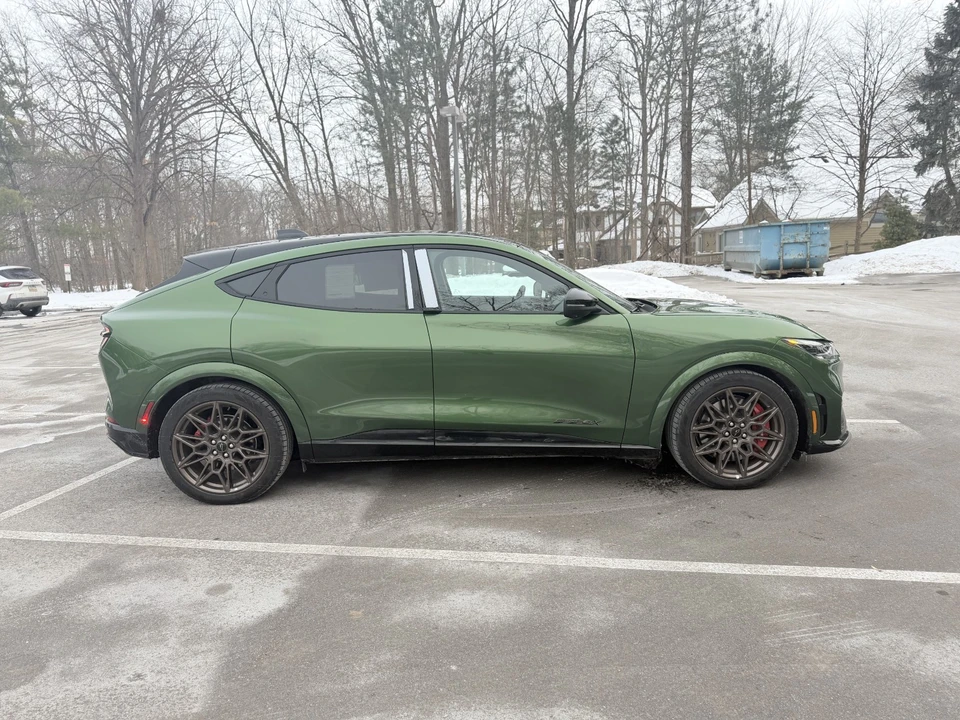 2025 Ford Mustang Mach-E - Image 16 of 21