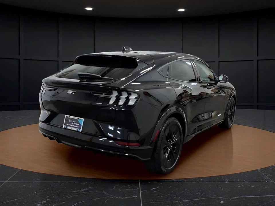 2025 Ford Mustang Mach-E - Image 6 of 28