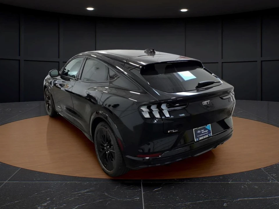 2025 Ford Mustang Mach-E - Image 4 of 27