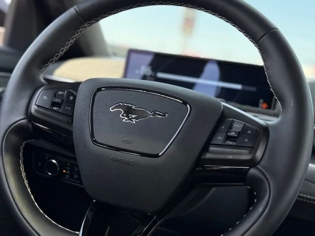 2025 Ford Mustang Mach-E - Image 9 of 20