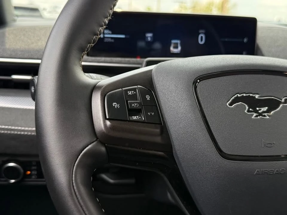 2025 Ford Mustang Mach-E - Image 10 of 20
