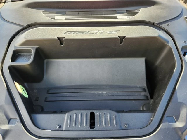 2025 Ford Mustang Mach-E - Image 19 of 20