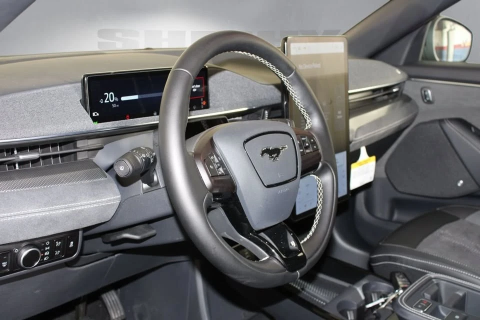2025 Ford Mustang Mach-E - Image 14 of 20