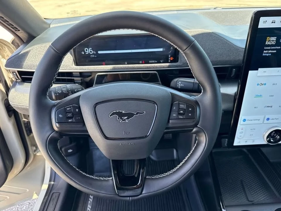 2025 Ford Mustang Mach-E - Image 12 of 20