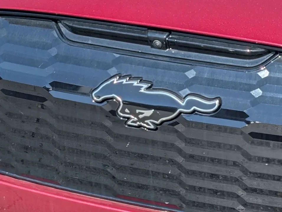 2025 Ford Mustang Mach-E - Image 12 of 15