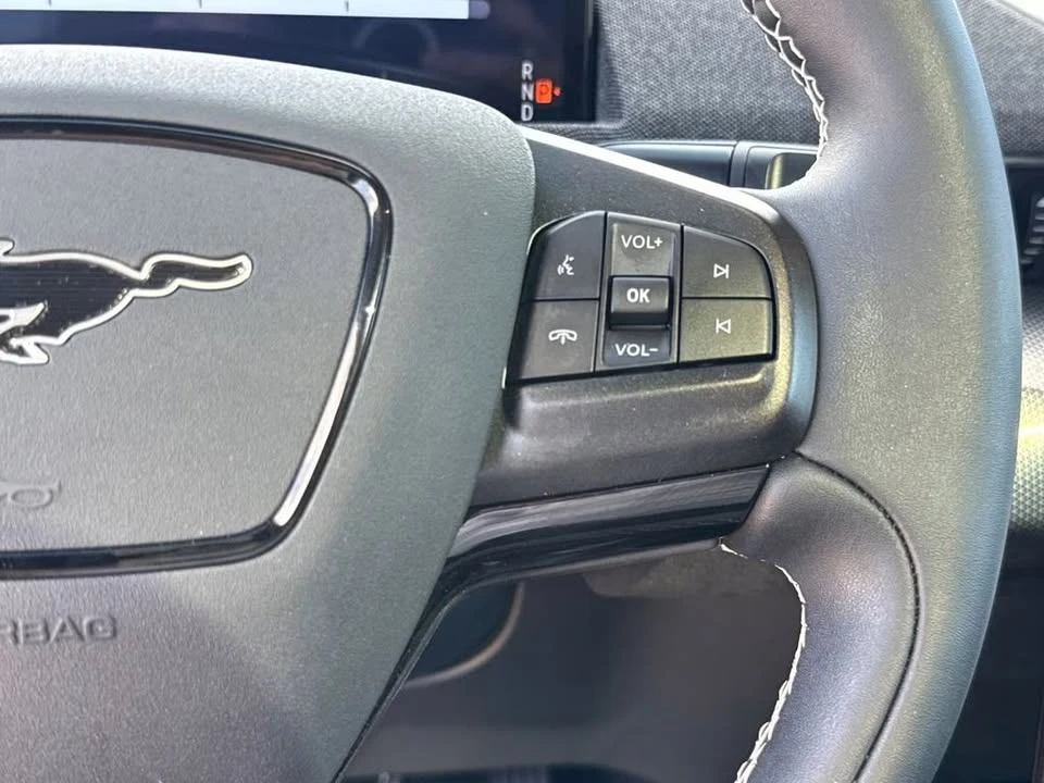 2025 Ford Mustang Mach-E - Image 14 of 20