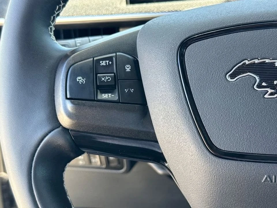 2025 Ford Mustang Mach-E - Image 13 of 20