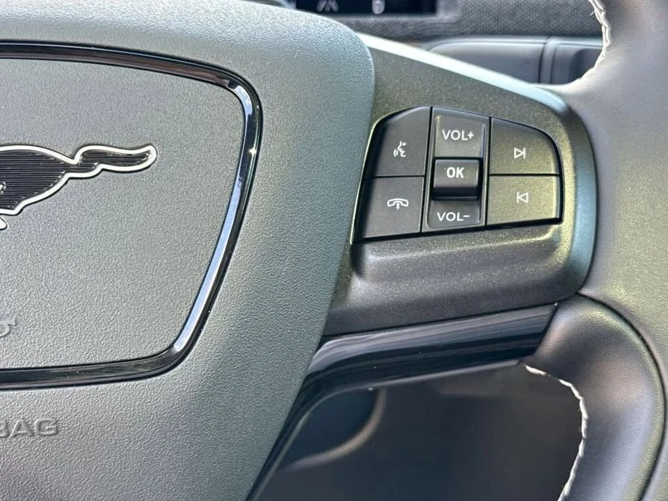 2025 Ford Mustang Mach-E - Image 14 of 20