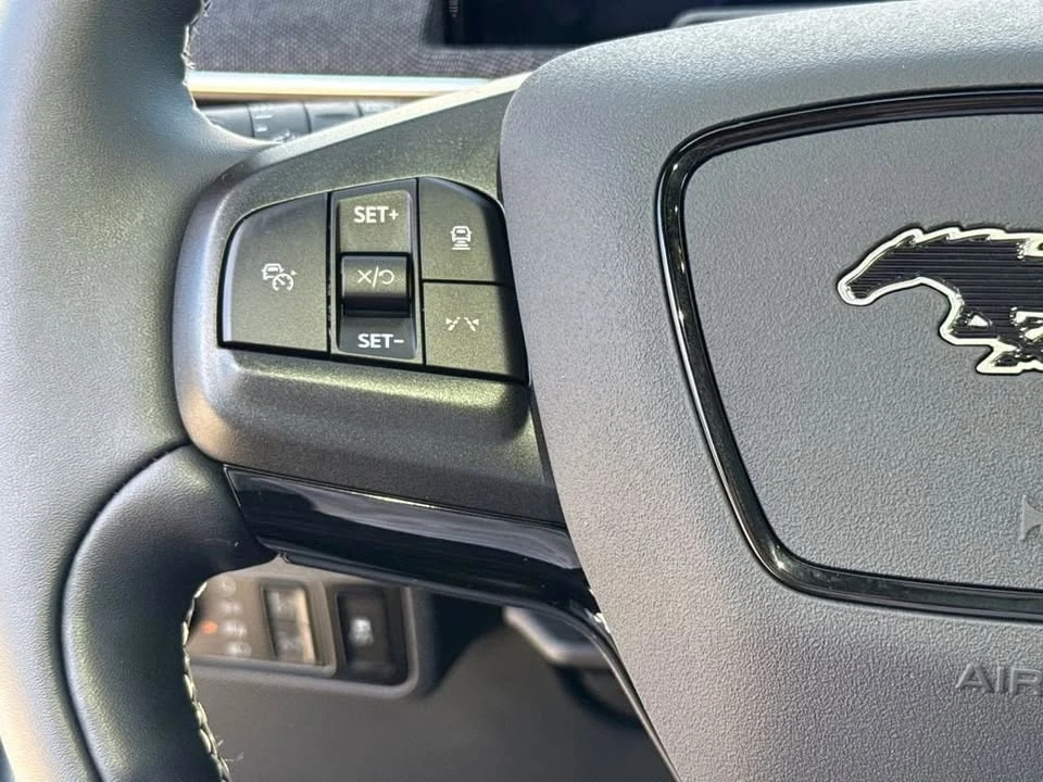 2025 Ford Mustang Mach-E - Image 13 of 20