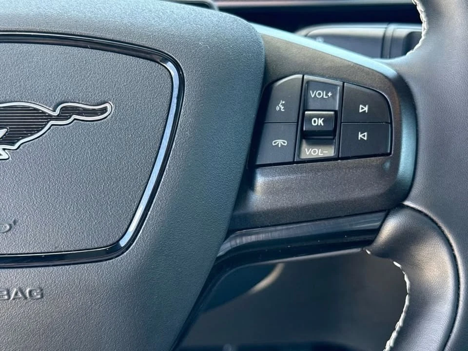 2025 Ford Mustang Mach-E - Image 14 of 20