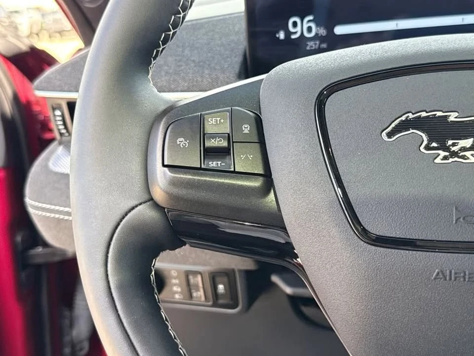 2025 Ford Mustang Mach-E - Image 13 of 20