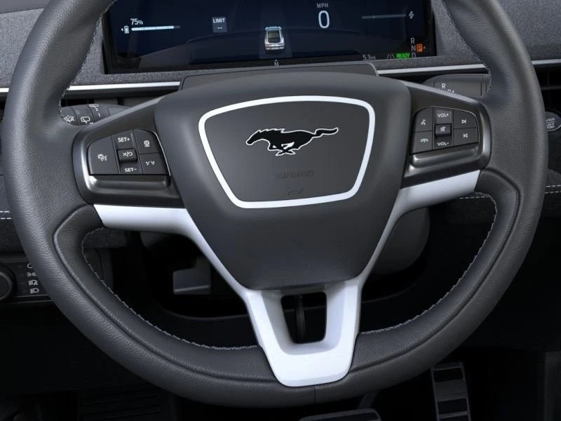 2025 Ford Mustang Mach-E - Image 13 of 20