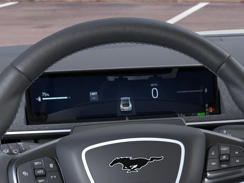 2025 Ford Mustang Mach-E - Image 14 of 20
