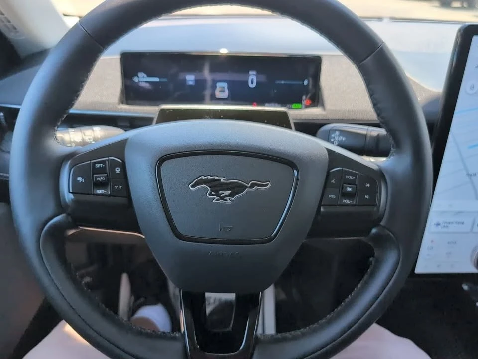 2025 Ford Mustang Mach-E - Image 16 of 20