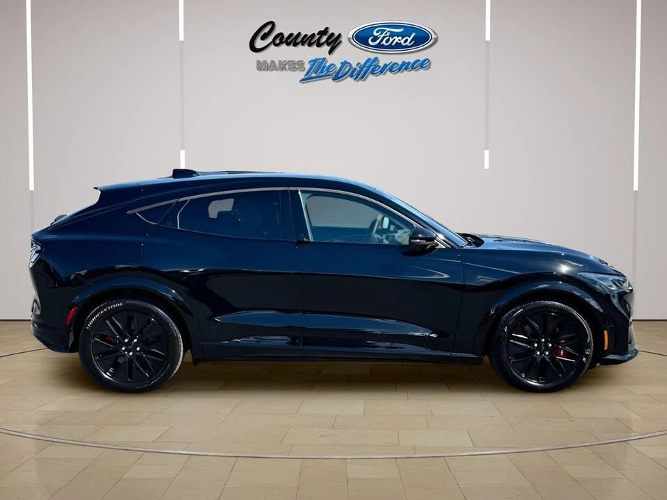 2025 Ford Mustang Mach-E - Image 6 of 20