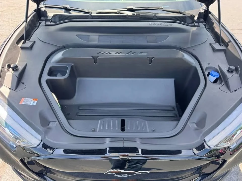 2025 Ford Mustang Mach-E - Image 13 of 20