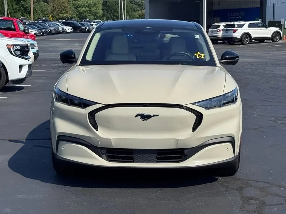 2025 Ford Mustang Mach-E - Image 15 of 20