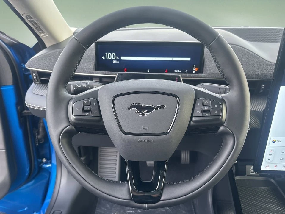2025 Ford Mustang Mach-E - Image 18 of 18