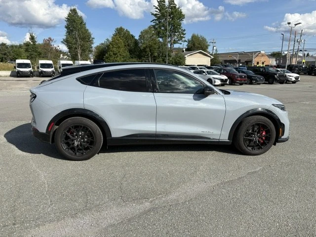 2025 Ford Mustang Mach-E - Image 6 of 10