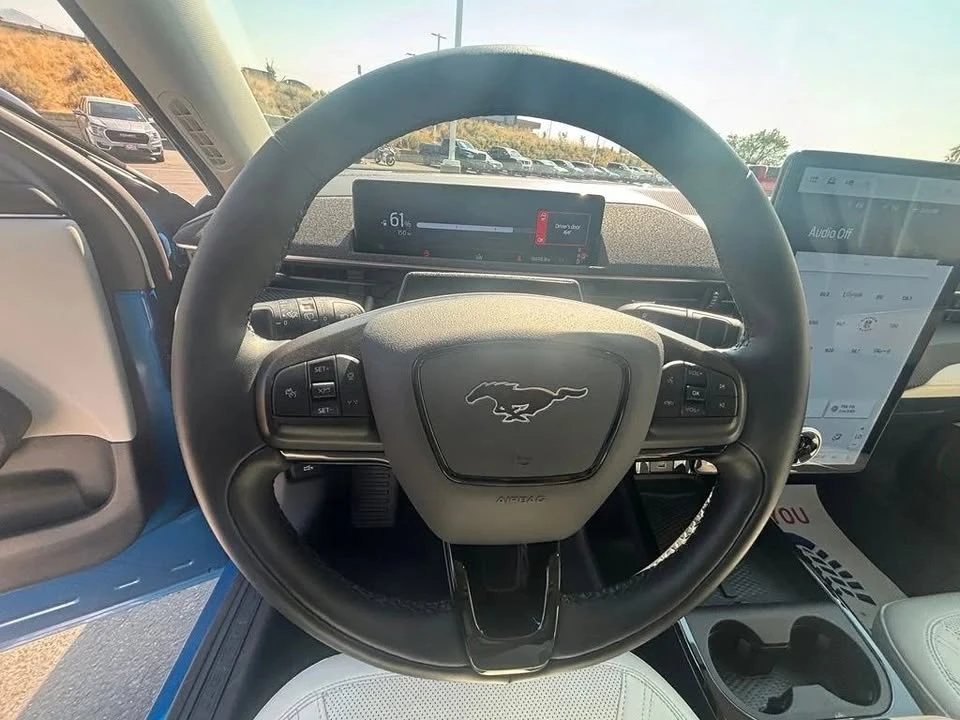 2025 Ford Mustang Mach-E - Image 17 of 20