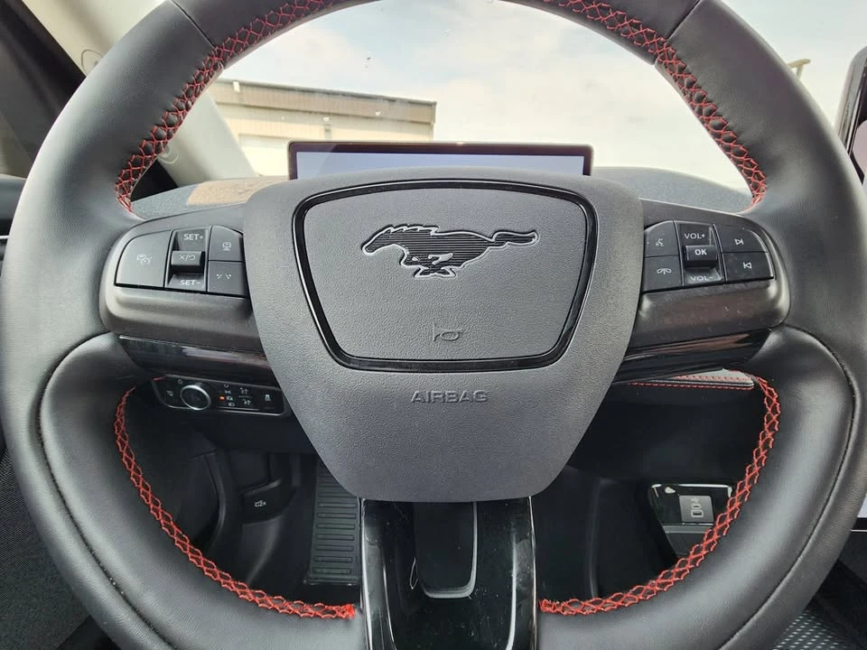 2025 Ford Mustang Mach-E - Image 19 of 20