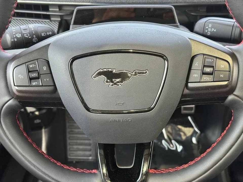 2025 Ford Mustang Mach-E - Image 13 of 20