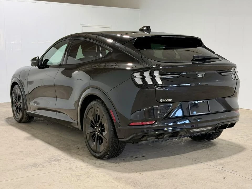 2025 Ford Mustang Mach-E - Image 6 of 20