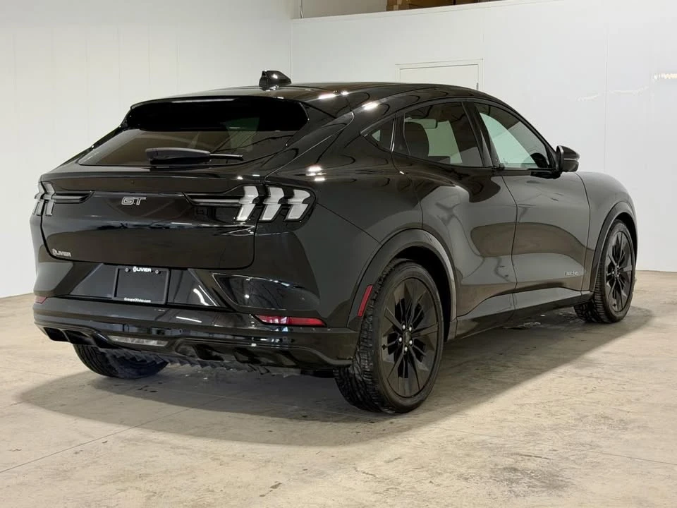2025 Ford Mustang Mach-E - Image 4 of 20