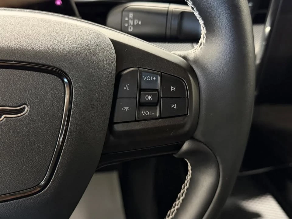 2025 Ford Mustang Mach-E - Image 19 of 20