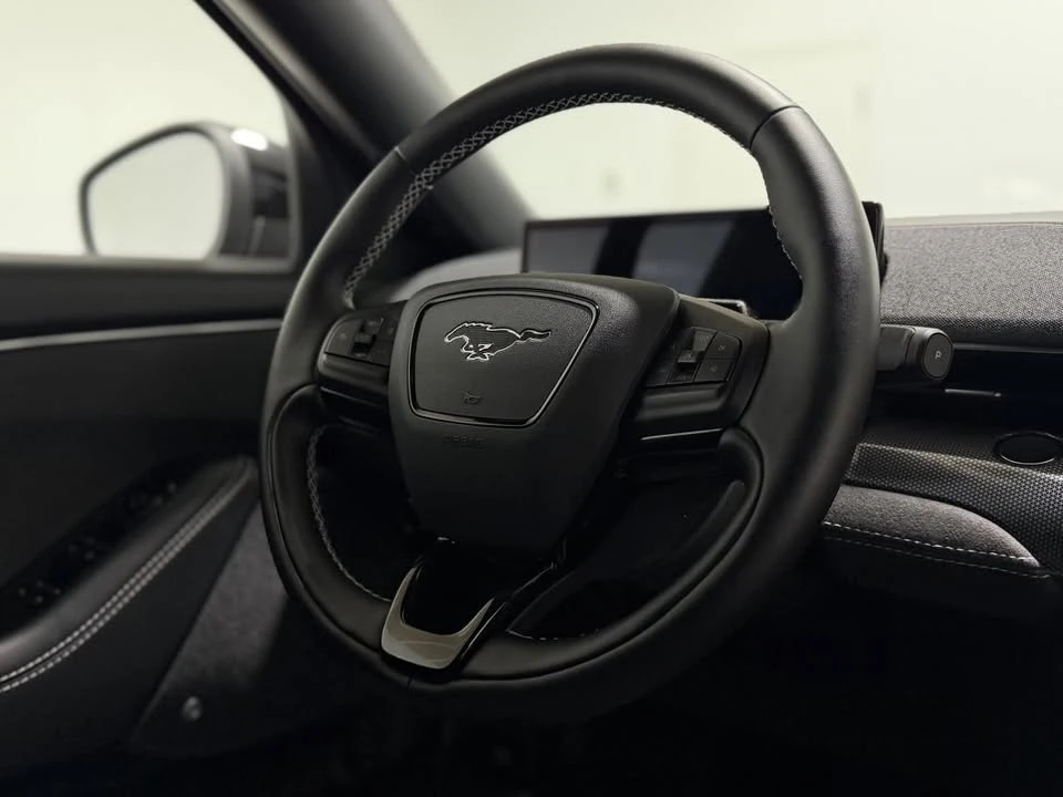 2025 Ford Mustang Mach-E - Image 17 of 20