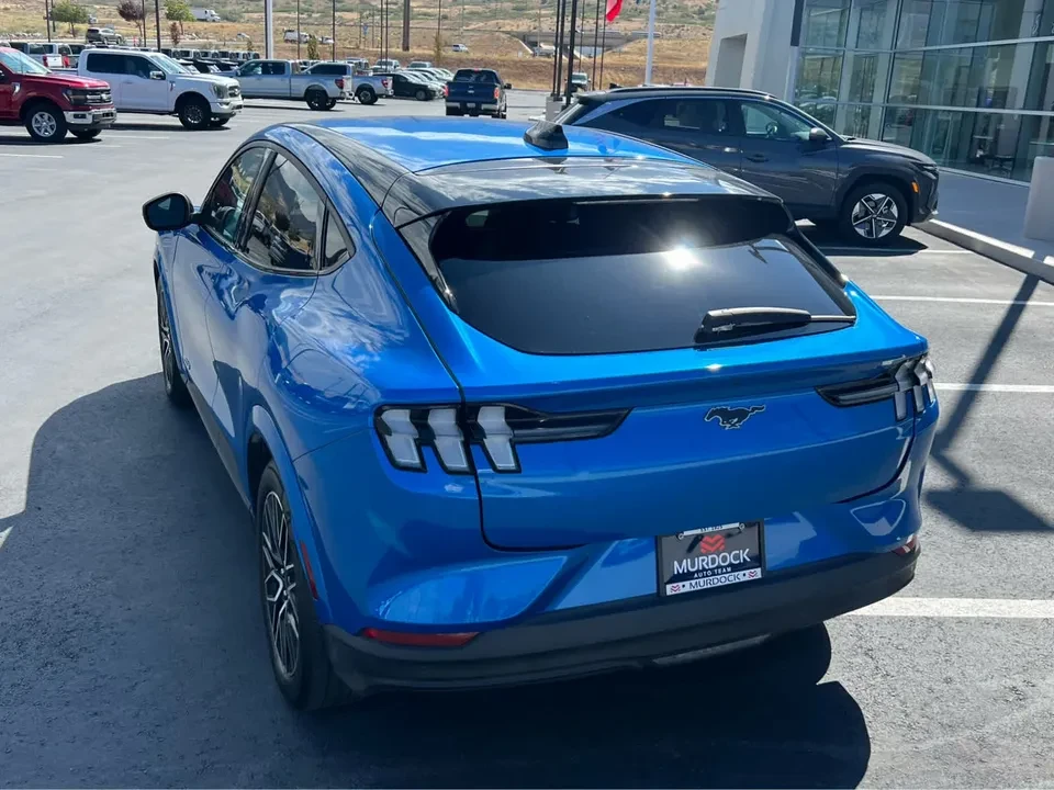 2025 Ford Mustang Mach-E - Image 10 of 20