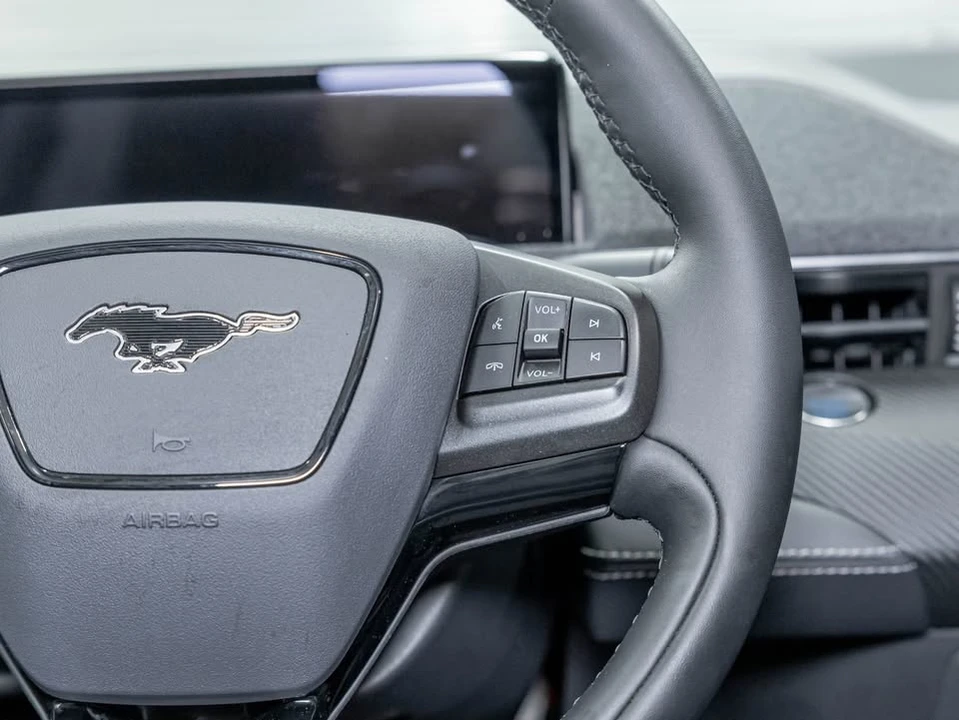 2025 Ford Mustang Mach-E - Image 17 of 20