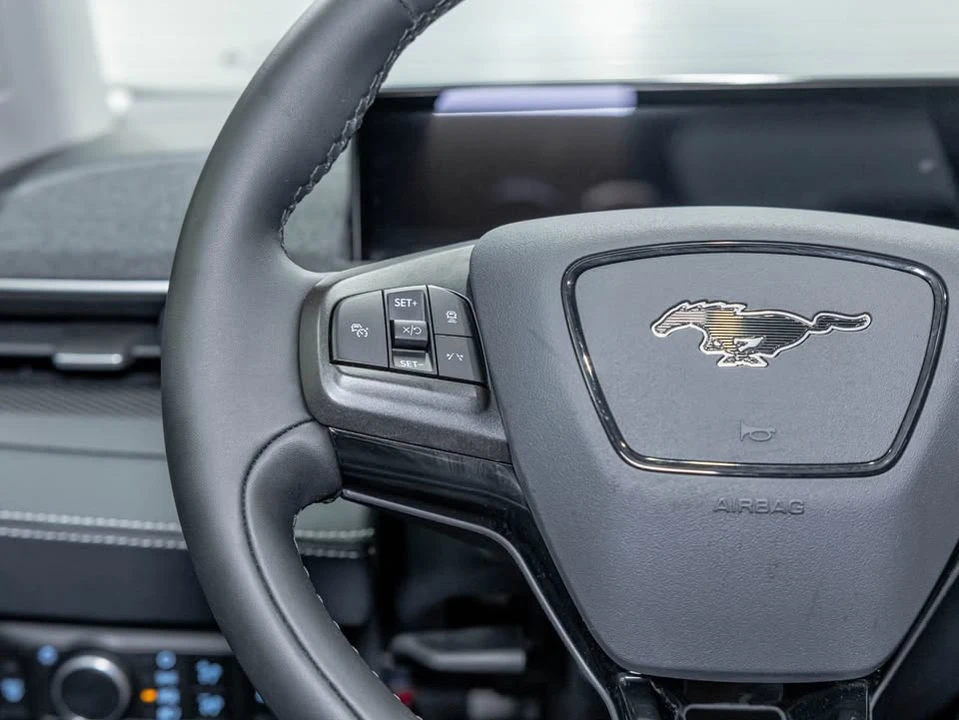 2025 Ford Mustang Mach-E - Image 16 of 20