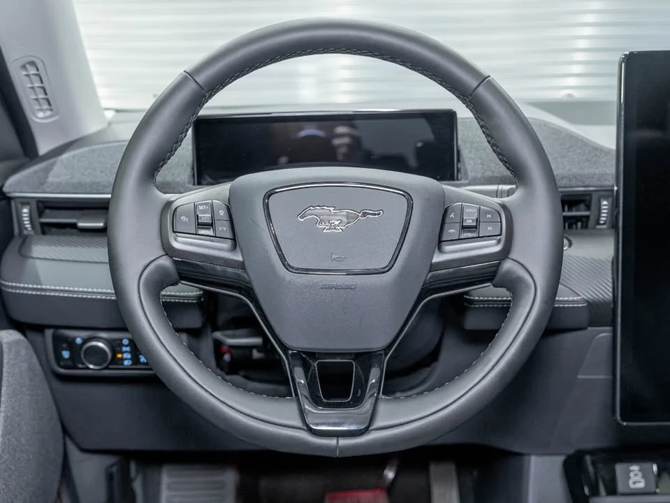 2025 Ford Mustang Mach-E - Image 15 of 20