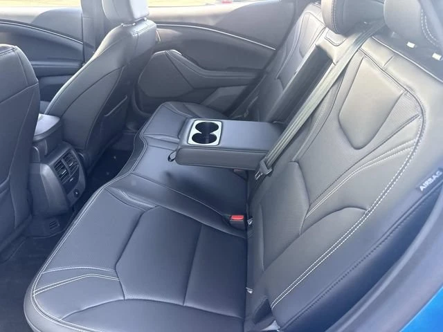 2025 Ford Mustang Mach-E - Image 13 of 14