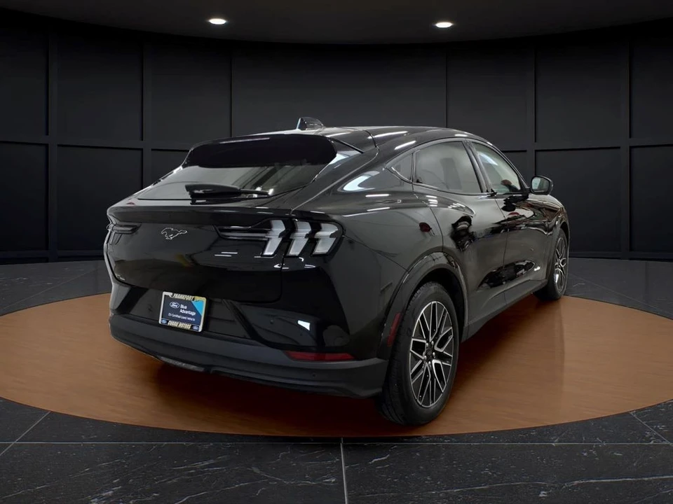 2025 Ford Mustang Mach-E - Image 6 of 28