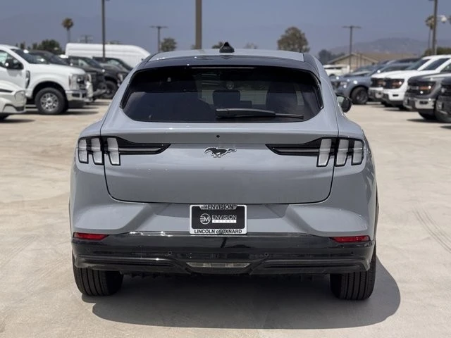 2025 Ford Mustang Mach-E - Image 11 of 12