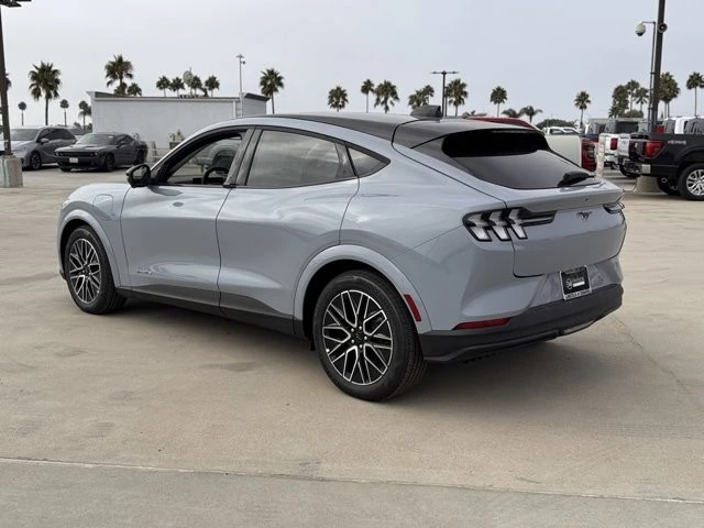 2025 Ford Mustang Mach-E - Image 10 of 12